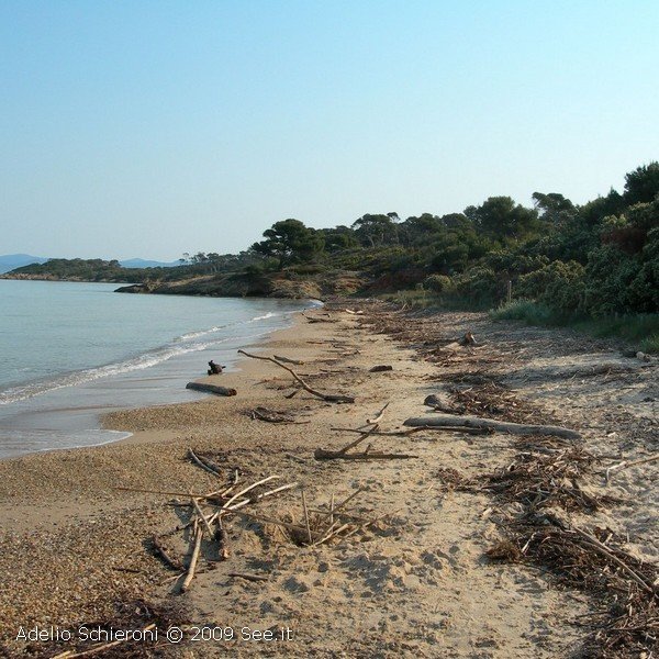 porquerolles3.jpg